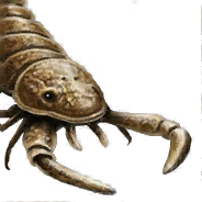 Seascorpion — criaturas de la prehistoria option 183