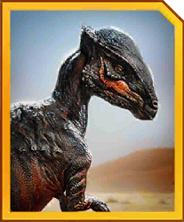 Zzzzz 1715313890stegoceras — criaturas de la prehistoria option 104