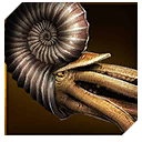 Zzzzz 1715353513ammonite — criaturas de la prehistoria option 246