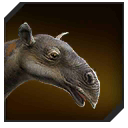 Zzzzz 1715353514indricotherium — criaturas de la prehistoria option 248