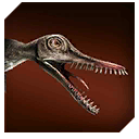 Zzzzz 1715353514rhamphorhynchus — criaturas de la prehistoria option 206
