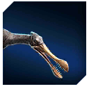 Zzzzz 1715353514tropeognathus — criaturas de la prehistoria option 203