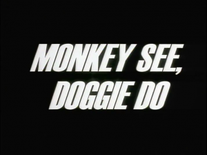 102amonkeysee2cdoggiedo — Every The PowerPuff Girls (1998) Episode + Movie and Others option 3