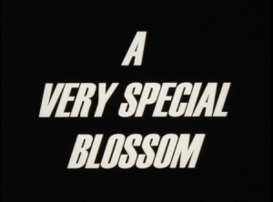450px Ppg1998207atitlecard — Every The PowerPuff Girls (1998) Episode + Movie and Others option 33