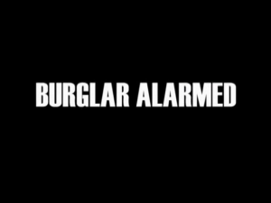 Burglar Alarmed — Every The PowerPuff Girls (1998) Episode + Movie and Others option 53