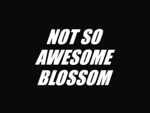 Not So Awesome Blossom — Every The PowerPuff Girls (1998) Episode + Movie and Others option 97