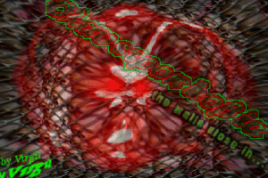 Claustrophobiathewallscloseintitle — Ultimate Doom WAD List option 131