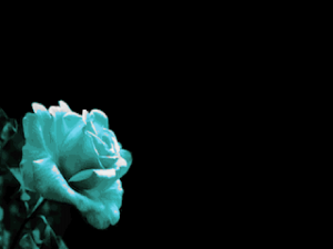 Zzzzz 1699138777magnoliatitle — Ultimate Doom WAD List option 469