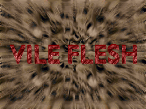 Zzzzz 1699138974vilefleshtitle — Ultimate Doom WAD List option 790