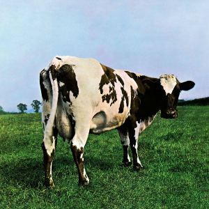 Zzzzz 16999191931000013723 — Albums option 15