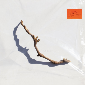I Inside The Old Year Dying — PJ Harvey Discography (2023) option 15