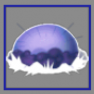 Create a Blox Fruits All the 37 fruits from blox fruits (update