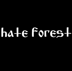 Zzzzz 1774495405screenshot135 — black metal bands option 30