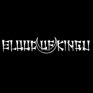 Zzzzz 1774495405screenshot136 — black metal bands option 31