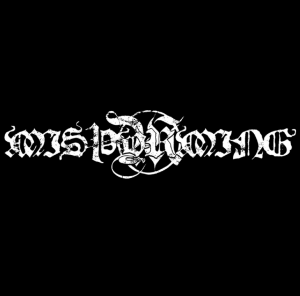 Zzzzz 1774525564screenshot179 — black metal bands option 74