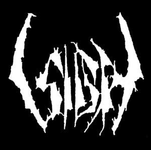 Zzzzz 1774526198screenshot183 — black metal bands option 80