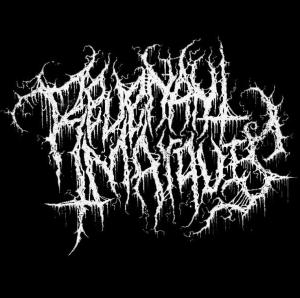 Zzzzz 1774526198screenshot184 — black metal bands option 81