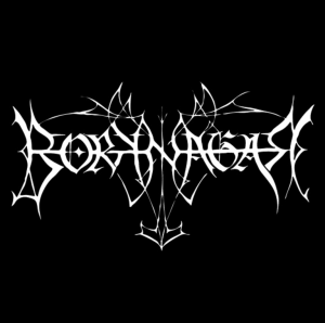 Zzzzz 1774532385screenshot213 — black metal bands option 110