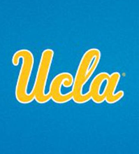 Screenshot 2024 08 26 111352 — cfb logo cfb cfb cfb cfb option 60