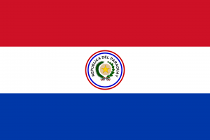 Flagofparaguay1842 1954svg — The Century War IV Tier List option 20