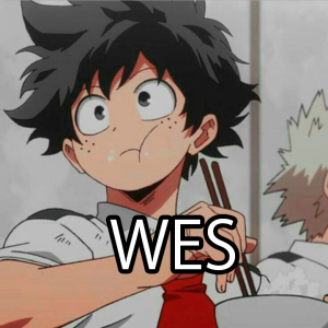 Zzzzz 1769463097wes — MHUR Players BR option 31