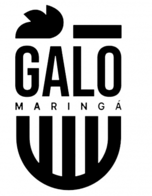 Arukopr — Brasileirao Times da Serie A B C D + (2024) (Atualizado) option 27