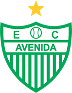 Avenidars — Brasileirao Times da Serie A B C D + (2024) (Atualizado) option 39