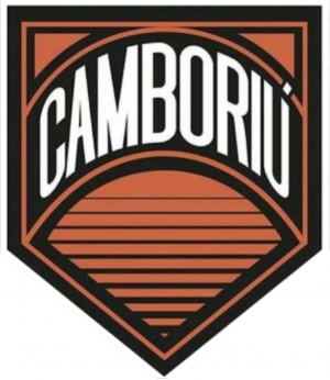 Camboriusc — Brasileirao Times da Serie A B C D + (2024) (Atualizado) option 73