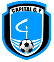 Capitaldf — Brasileirao Times da Serie A B C D + (2024) (Atualizado) option 77