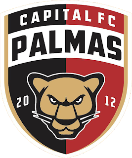 Capitalto — Brasileirao Times da Serie A B C D + (2024) (Atualizado) option 78