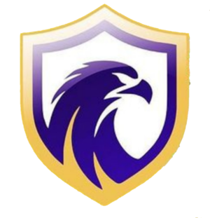 Falconse — Brasileirao Times da Serie A B C D + (2024) (Atualizado) option 127