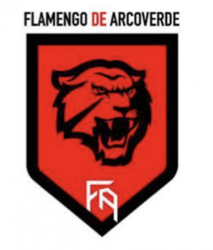 Flamengope — Brasileirao Times da Serie A B C D + (2024) (Atualizado) option 135