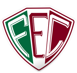 Fluminensepi — Brasileirao Times da Serie A B C D + (2024) (Atualizado) option 140