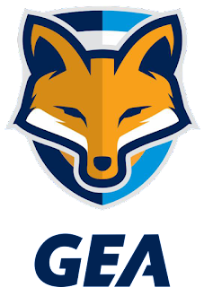 Gremioanapolis — Brasileirao Times da Serie A B C D + (2024) (Atualizado) option 158