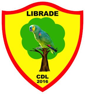 Libradeam — Brasileirao Times da Serie A B C D + (2024) (Atualizado) option 214