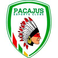 Pacajusce — Brasileirao Times da Serie A B C D + (2024) (Atualizado) option 254
