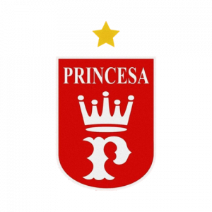 Princesaam — Brasileirao Times da Serie A B C D + (2024) (Atualizado) option 288