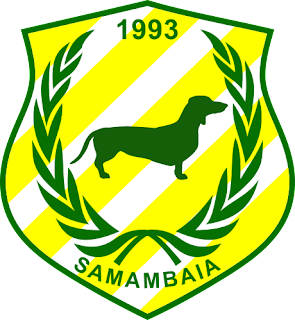 Samambaiadf — Brasileirao Times da Serie A B C D + (2024) (Atualizado) option 307
