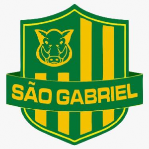 Saogabrielms — Brasileirao Times da Serie A B C D + (2024) (Atualizado) option 324