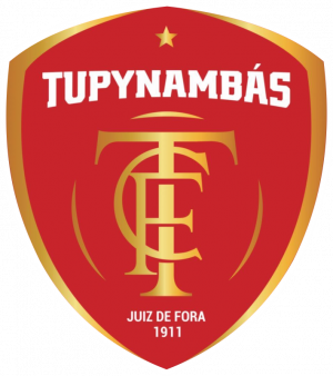 Tupinambasmg — Brasileirao Times da Serie A B C D + (2024) (Atualizado) option 355