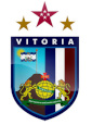 Vitoriape — Brasileirao Times da Serie A B C D + (2024) (Atualizado) option 368