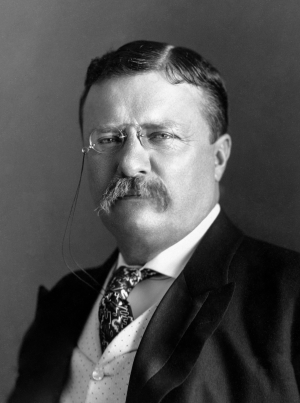 Zzzzz 1774836238img5386 — US Presidents (2026) option 25