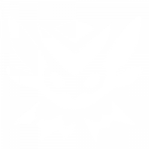 Zzzzz 1759267816083 — Valorant Abilities (UPDATED WITH MIKS) option 83