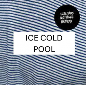 Iuce Cild Pooljpg — Wallows Songs UPDATED JAN 2025 option 30