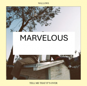 Marvelousjpg — Wallows Songs UPDATED JAN 2025 option 32