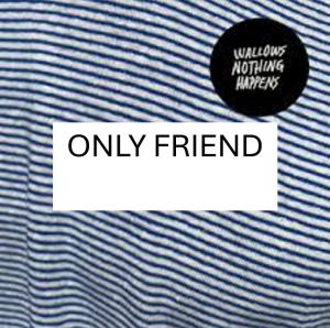 Only Fiendjpg — Wallows Songs UPDATED JAN 2025 option 38
