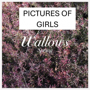 Sadawjpg — Wallows Songs UPDATED JAN 2025 option 40