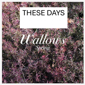 These Daysjpg — Wallows Songs UPDATED JAN 2025 option 45