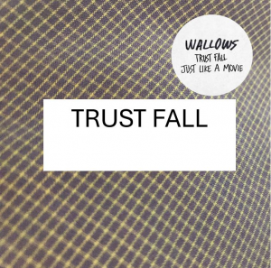 Trust Falljpg — Wallows Songs UPDATED JAN 2025 option 46