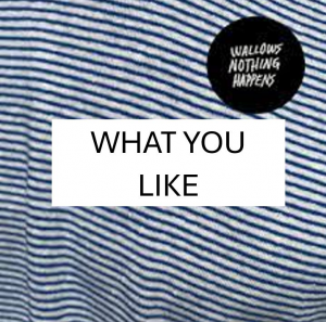 What Oyu Likejpg — Wallows Songs UPDATED JAN 2025 option 48